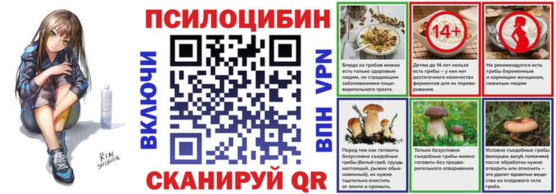 Купить где  Кочубеевское  Псилоцибиновые грибы ЛСД 